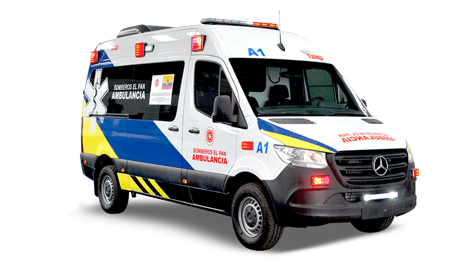 Compra pública de flotas